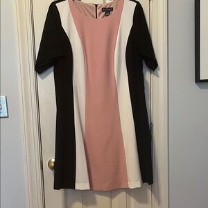 Jessica Howard Pink, Black, and White Mini Dress